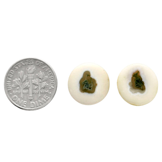 Horse Canyon Moss Agate Pair 14x14x4 mm Round Shape Polished Gemstone LS36-04489