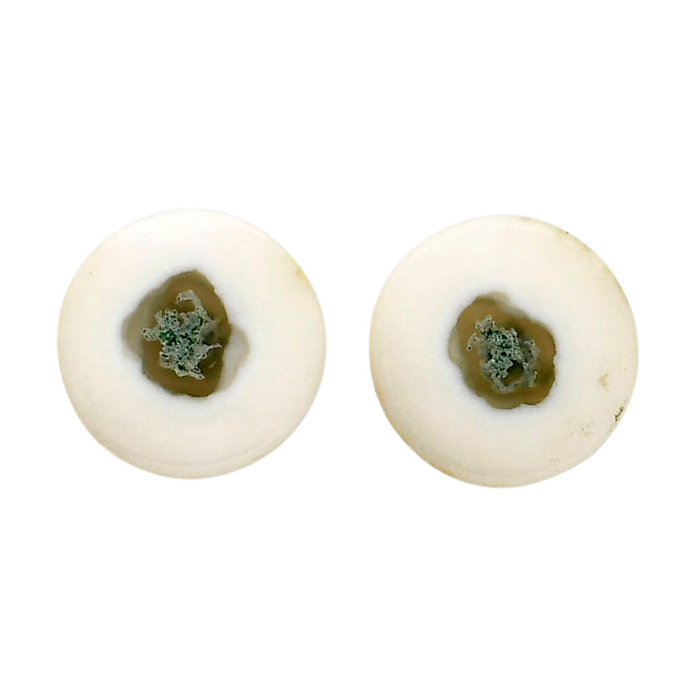 Horse Canyon Moss Agate Pair 14.4x14.4x4 mm Round Shape Polished Gemstone LS36-04490