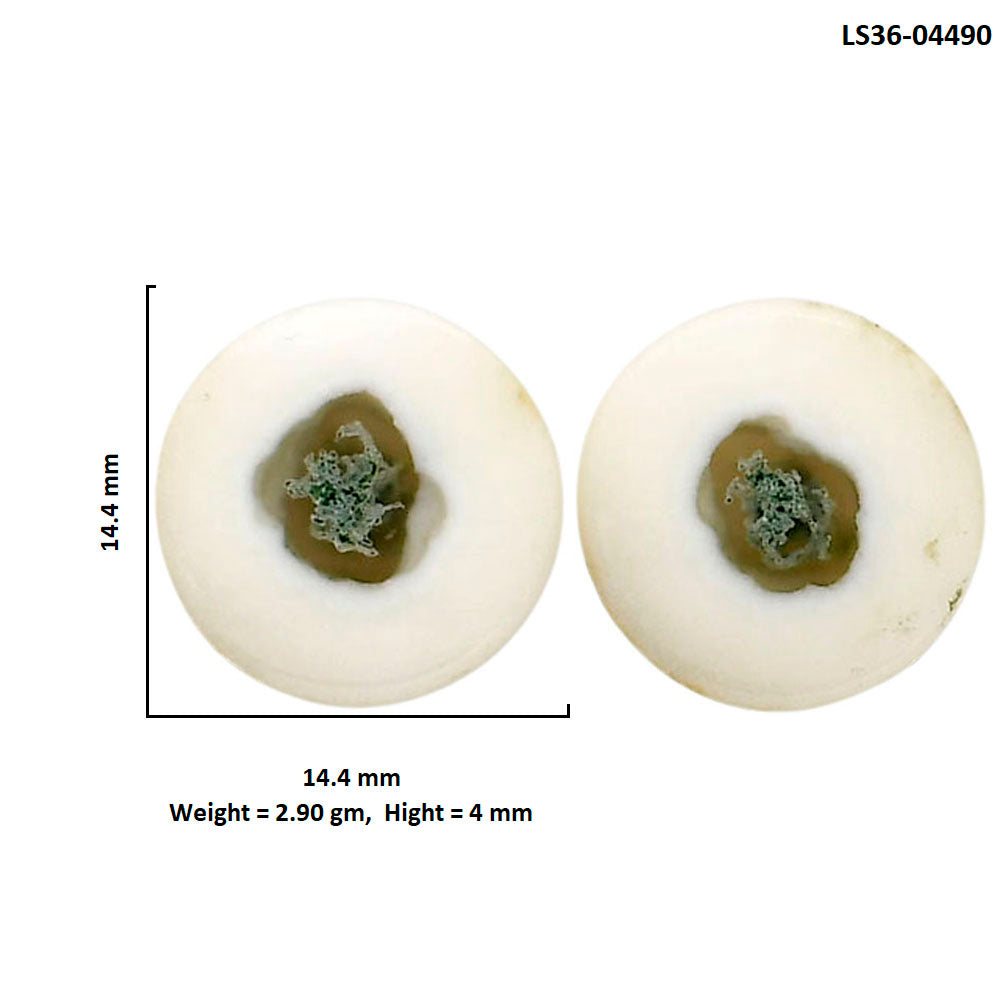Horse Canyon Moss Agate Pair 14.4x14.4x4 mm Round Shape Polished Gemstone LS36-04490