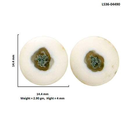 Horse Canyon Moss Agate Pair 14.4x14.4x4 mm Round Shape Polished Gemstone LS36-04490