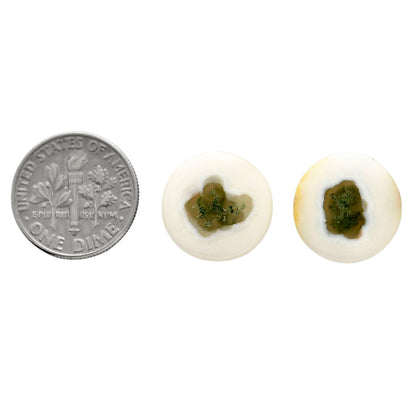Horse Canyon Moss Agate Pair 15x15x4.5 mm Round Shape Polished Gemstone LS36-04491