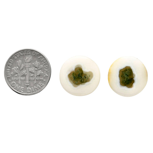 Horse Canyon Moss Agate Pair 15x15x4.5 mm Round Shape Polished Gemstone LS36-04491