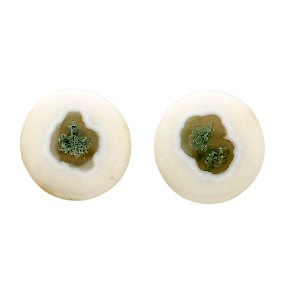 Horse Canyon Moss Agate Pair 14.5x14.5x4 mm Round Shape Polished Gemstone LS36-04492