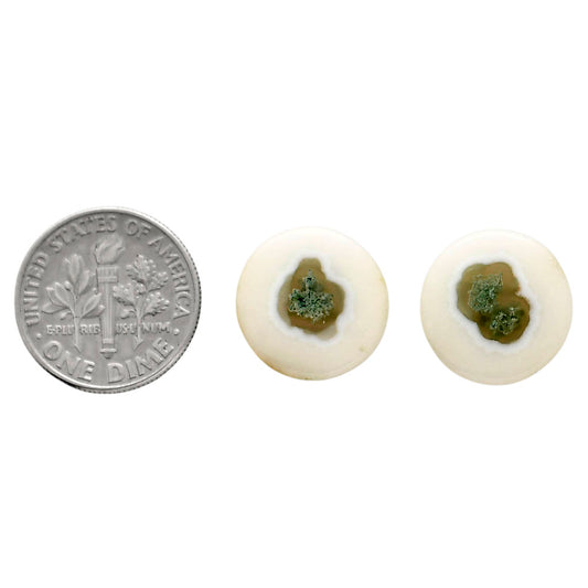 Horse Canyon Moss Agate Pair 14.5x14.5x4 mm Round Shape Polished Gemstone LS36-04492