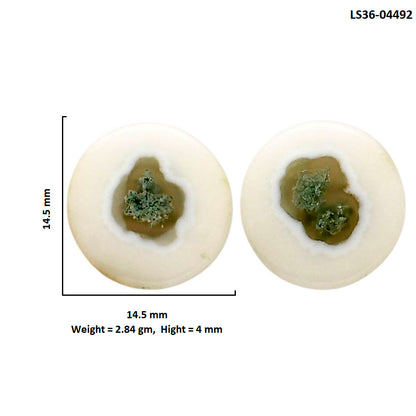 Horse Canyon Moss Agate Pair 14.5x14.5x4 mm Round Shape Polished Gemstone LS36-04492