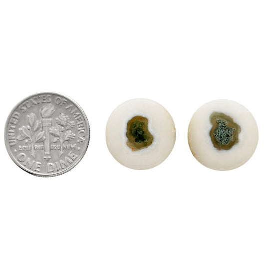 Horse Canyon Moss Agate Pair 14.7x14.7x4 mm Round Shape Polished Gemstone LS36-04493