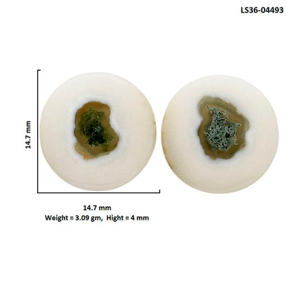 Horse Canyon Moss Agate Pair 14.7x14.7x4 mm Round Shape Polished Gemstone LS36-04493