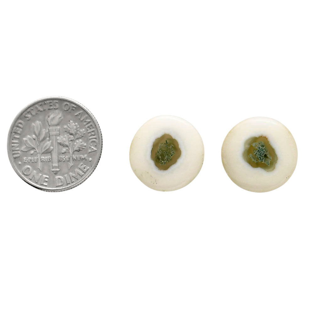 Horse Canyon Moss Agate Pair 14x14x4 mm Round Shape Polished Gemstone LS36-04494