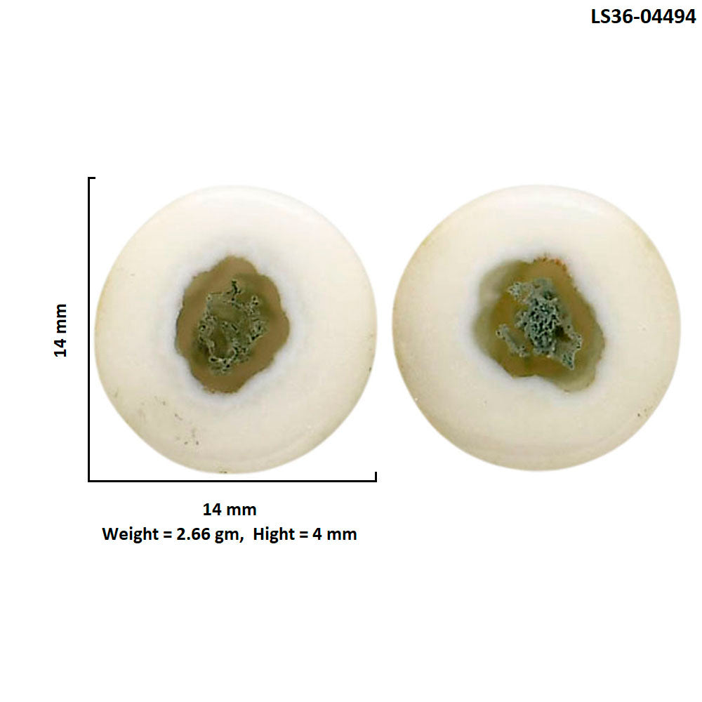 Horse Canyon Moss Agate Pair 14x14x4 mm Round Shape Polished Gemstone LS36-04494