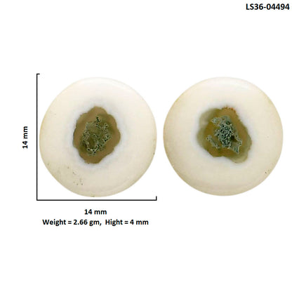 Horse Canyon Moss Agate Pair 14x14x4 mm Round Shape Polished Gemstone LS36-04494