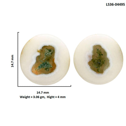 Horse Canyon Moss Agate Pair 14.7x14.7x4 mm Round Shape Polished Gemstone LS36-04495