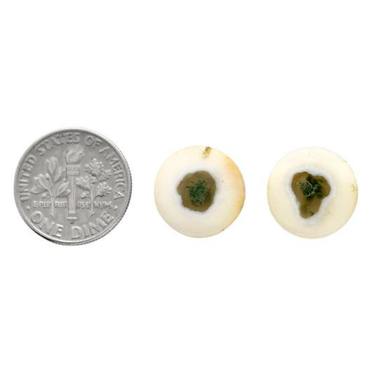 Horse Canyon Moss Agate Pair 13.6x13.6x4.3 mm Round Shape Polished Gemstone LS36-04497