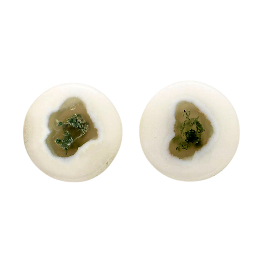 Horse Canyon Moss Agate Pair 13.2x13.2x4 mm Round Shape Polished Gemstone LS36-04498