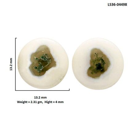 Horse Canyon Moss Agate Pair 13.2x13.2x4 mm Round Shape Polished Gemstone LS36-04498
