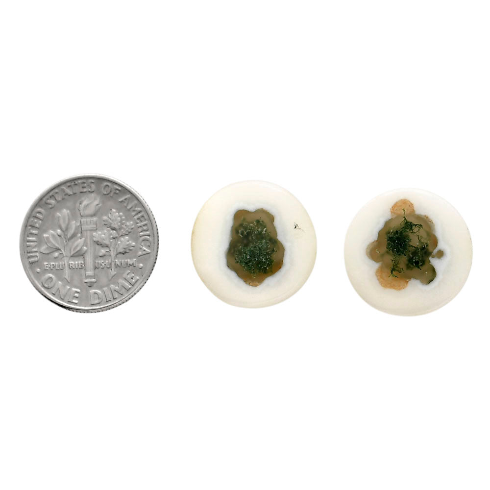 Horse Canyon Moss Agate Pair 16.2x16.2x4.5 mm Round Shape Polished Gemstone LS36-04499
