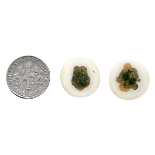 Horse Canyon Moss Agate Pair 16.2x16.2x4.5 mm Round Shape Polished Gemstone LS36-04499