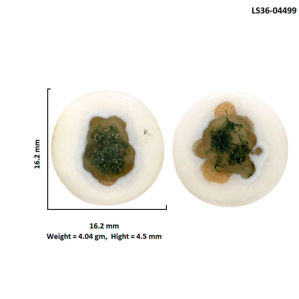 Horse Canyon Moss Agate Pair 16.2x16.2x4.5 mm Round Shape Polished Gemstone LS36-04499