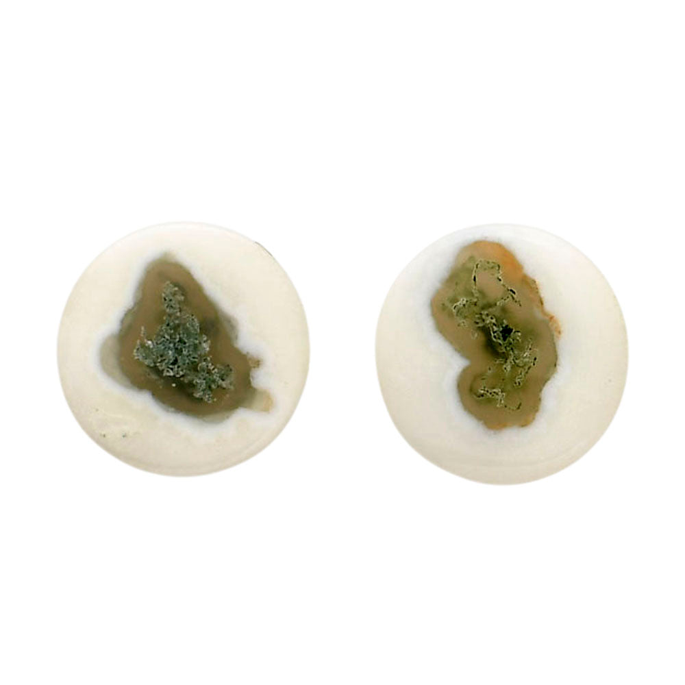 Horse Canyon Moss Agate Pair 13.7x13.7x4 mm Round Shape Polished Gemstone LS36-04500