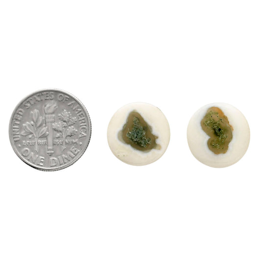 Horse Canyon Moss Agate Pair 13.7x13.7x4 mm Round Shape Polished Gemstone LS36-04500