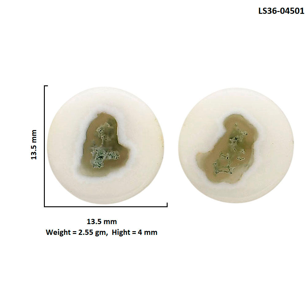 Horse Canyon Moss Agate Pair 13.5x13.5x4 mm Round Shape Polished Gemstone LS36-04501