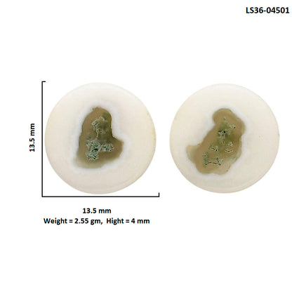Horse Canyon Moss Agate Pair 13.5x13.5x4 mm Round Shape Polished Gemstone LS36-04501