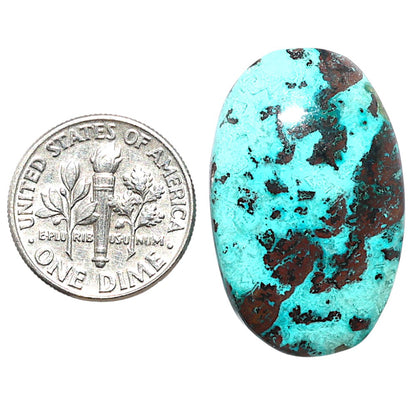 Shattuckite 18.3x29x5.3 mm Oval Shape Polished Gemstone LS39-08746