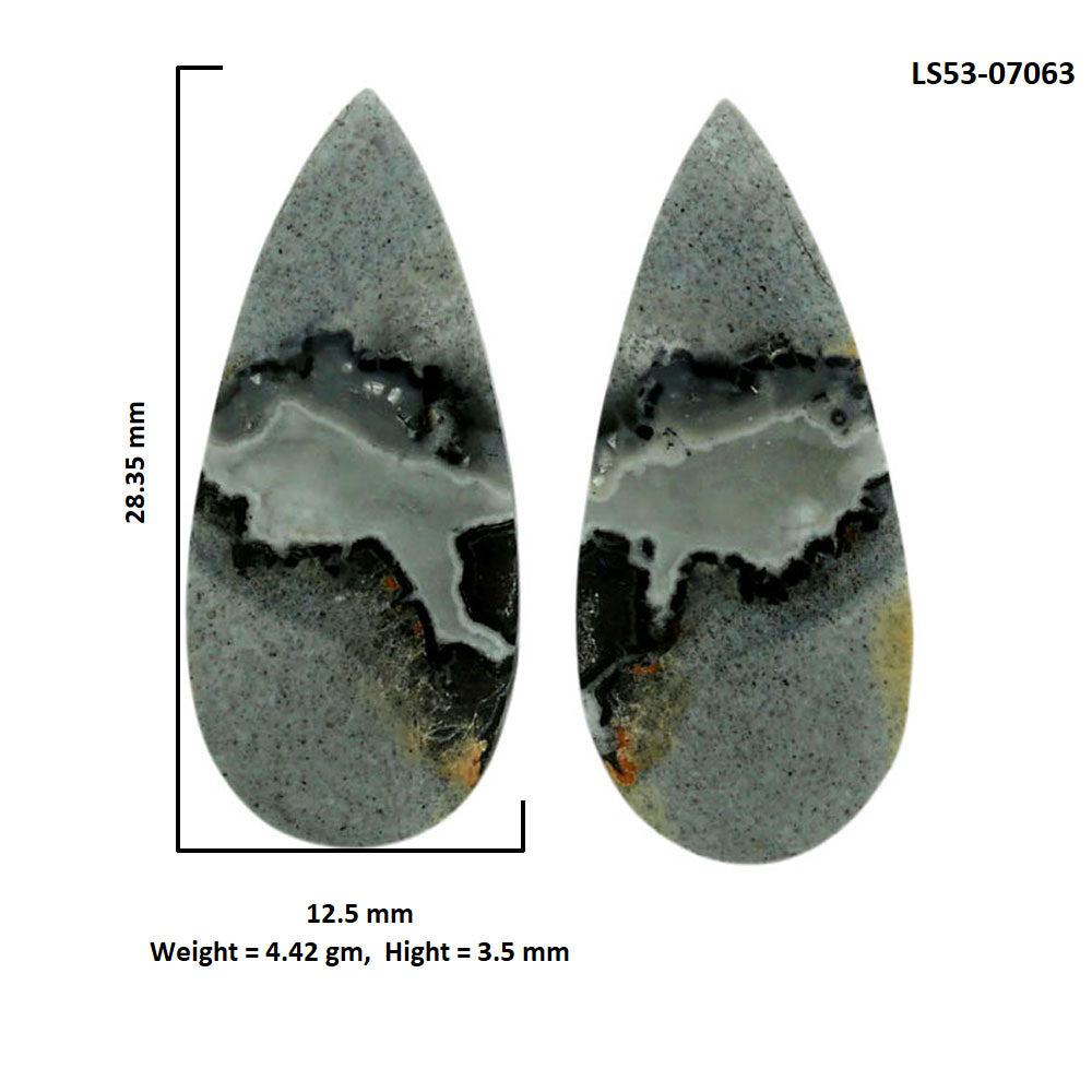 Maligano Jasper Pair 12.5x28.35x3.5 mm Pear Shape Polished Gemstone LS53-07063