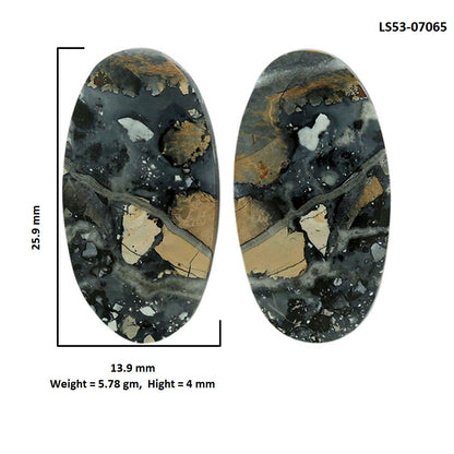 Maligano Jasper Pair 13.9x25.9x4 mm Oval Shape Polished Gemstone LS53-07065