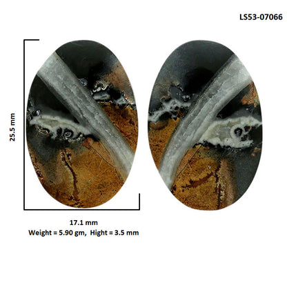 Maligano Jasper Pair 17.1x25.5x3.5 mm Oval Shape Polished Gemstone LS53-07066