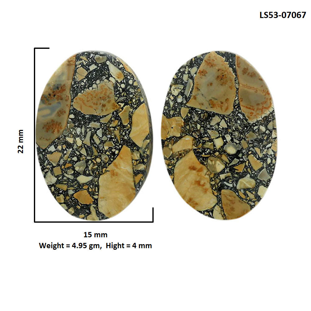 Maligano Jasper Pair 15x22x4 mm Oval Shape Polished Gemstone LS53-07067