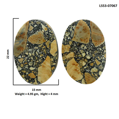 Maligano Jasper Pair 15x22x4 mm Oval Shape Polished Gemstone LS53-07067