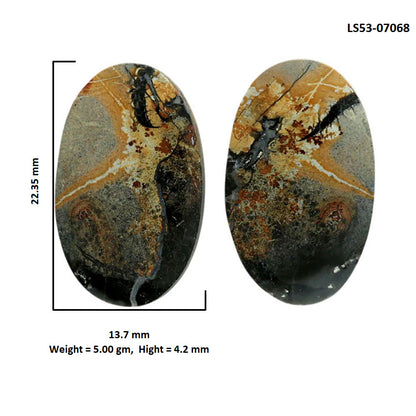 Maligano Jasper Pair 13.7x22.35x4.2 mm Oval Shape Polished Gemstone LS53-07068