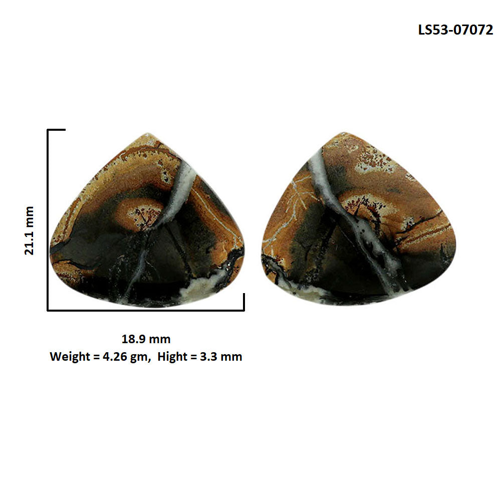Maligano Jasper Pair 18.9x21.1x3.3 mm Heart Shape Polished Gemstone LS53-07072