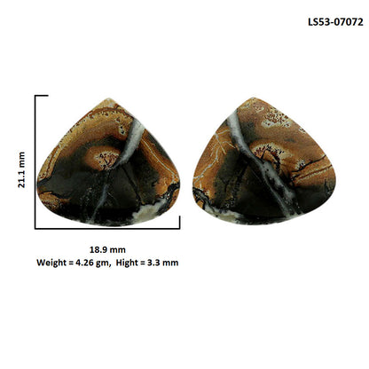 Maligano Jasper Pair 18.9x21.1x3.3 mm Heart Shape Polished Gemstone LS53-07072