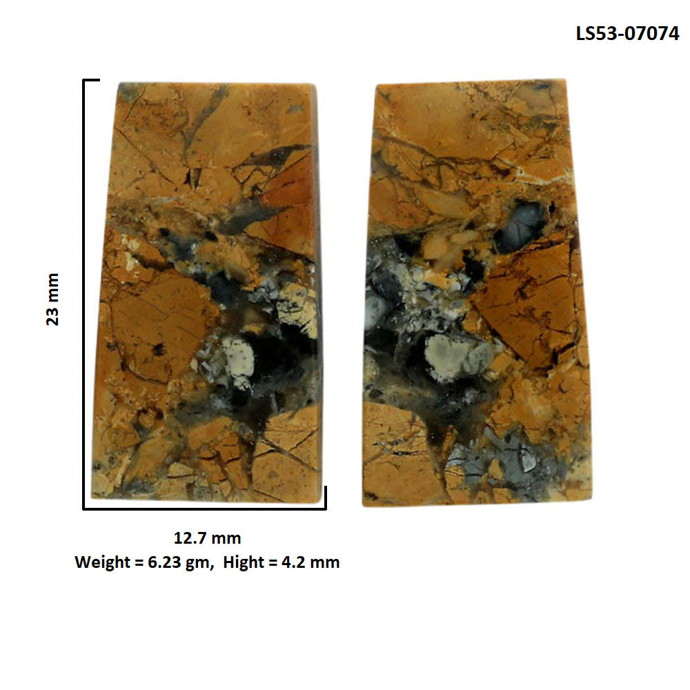 Maligano Jasper Pair 12.7x23x4.2 mm Fancy Shape Polished Gemstone LS53-07074