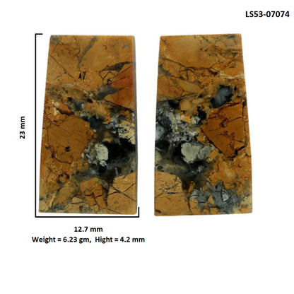 Maligano Jasper Pair 12.7x23x4.2 mm Fancy Shape Polished Gemstone LS53-07074