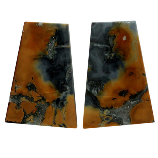 Maligano Jasper Pair 15.9x22.9x3.8 mm Fancy Shape Polished Gemstone LS53-07075