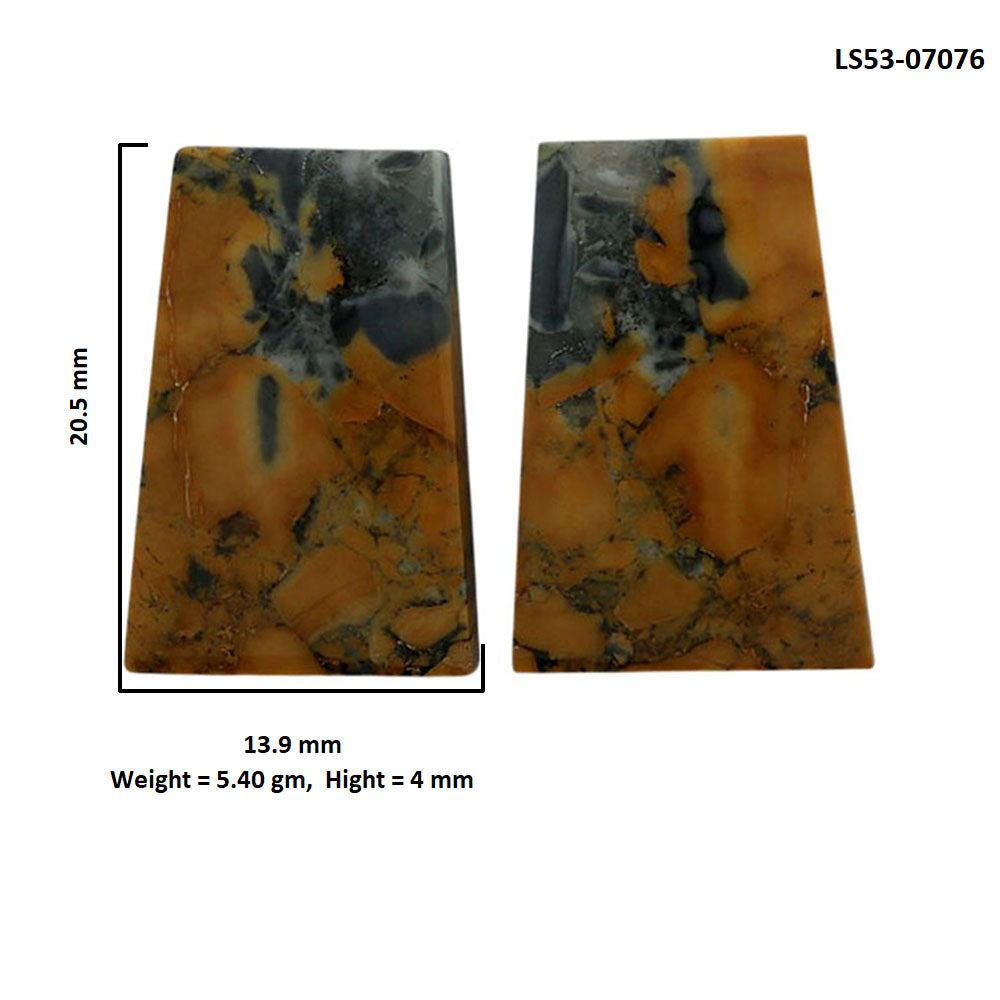 Maligano Jasper Pair 13.9x20.5x4 mm Fancy Shape Polished Gemstone LS53-07076