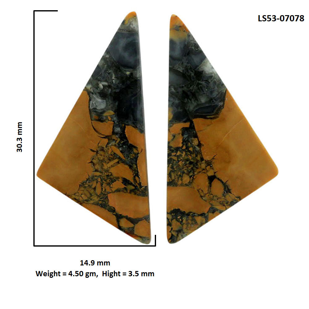 Maligano Jasper Pair 14.9x30.3x3.5 mm Fancy Shape Polished Gemstone LS53-07078