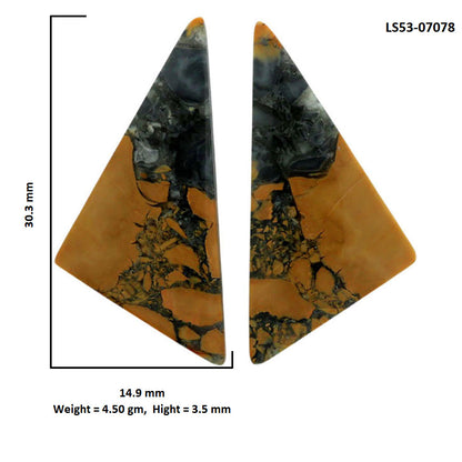 Maligano Jasper Pair 14.9x30.3x3.5 mm Fancy Shape Polished Gemstone LS53-07078