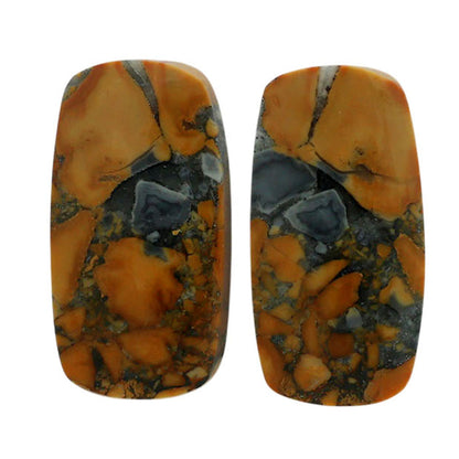 Maligano Jasper Pair 11.3x21.8x4 mm Cushion Shape Polished Gemstone LS53-07079