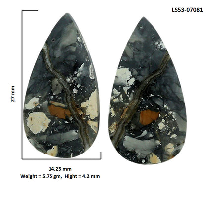 Maligano Jasper Pair 14.25x27x4.2 mm Pear Shape Polished Gemstone LS53-07081