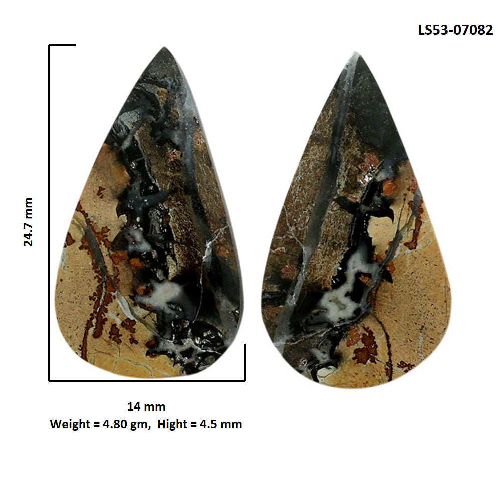 Maligano Jasper Pair 14x24.7x4.5 mm Pear Shape Polished Gemstone LS53-07082
