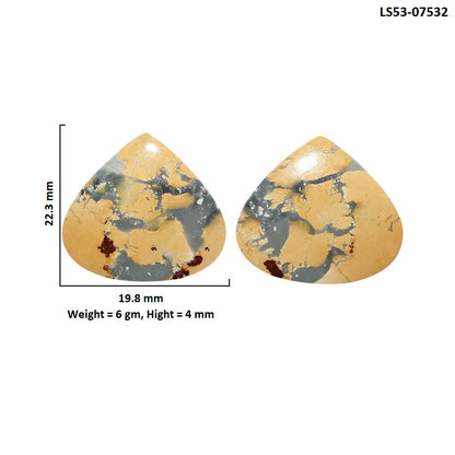 Maligano Jasper Pair 19.8x22.3x4 mm Heart Shape Polished Gemstone LS53-07532