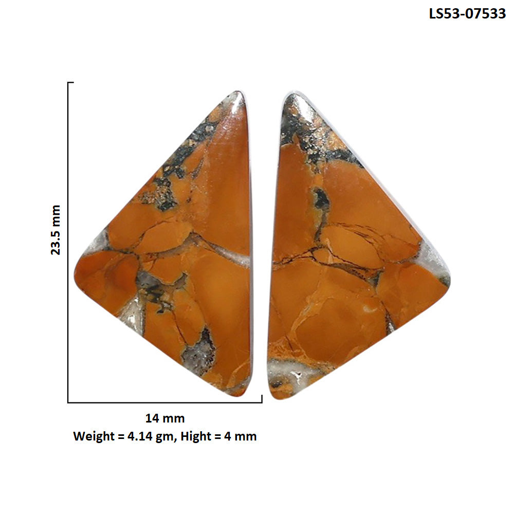 Maligano Jasper Pair 14x23.5x4 mm Fancy Shape Polished Gemstone LS53-07533