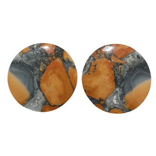 Maligano Jasper Pair 19.2x19.2x4 mm Round Shape Polished Gemstone LS53-07534