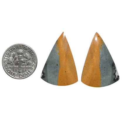 Maligano Jasper Pair 18.8x27.1x4.8 mm Fancy Shape Polished Gemstone LS53-07535