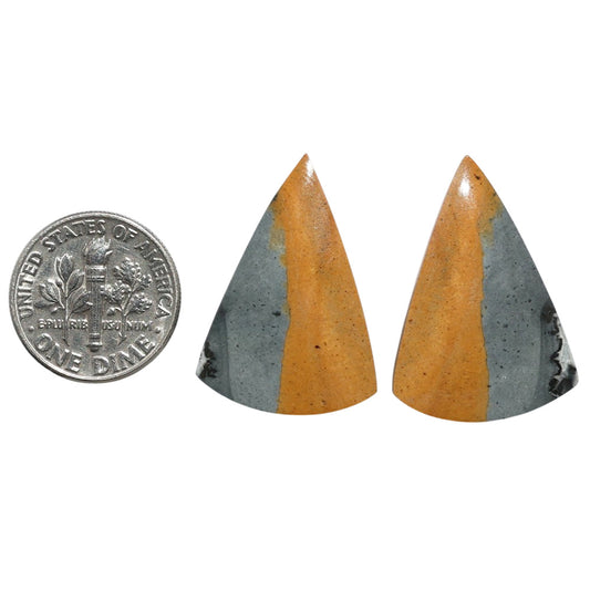 Maligano Jasper Pair 18.8x27.1x4.8 mm Fancy Shape Polished Gemstone LS53-07535