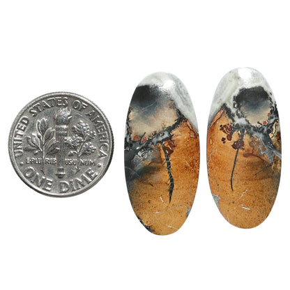 Maligano Jasper Pair 12.6x27x4.5 mm Oval Shape Polished Gemstone LS53-07537