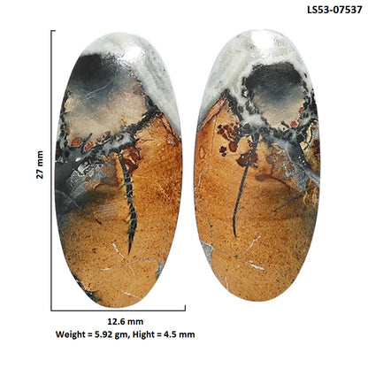 Maligano Jasper Pair 12.6x27x4.5 mm Oval Shape Polished Gemstone LS53-07537